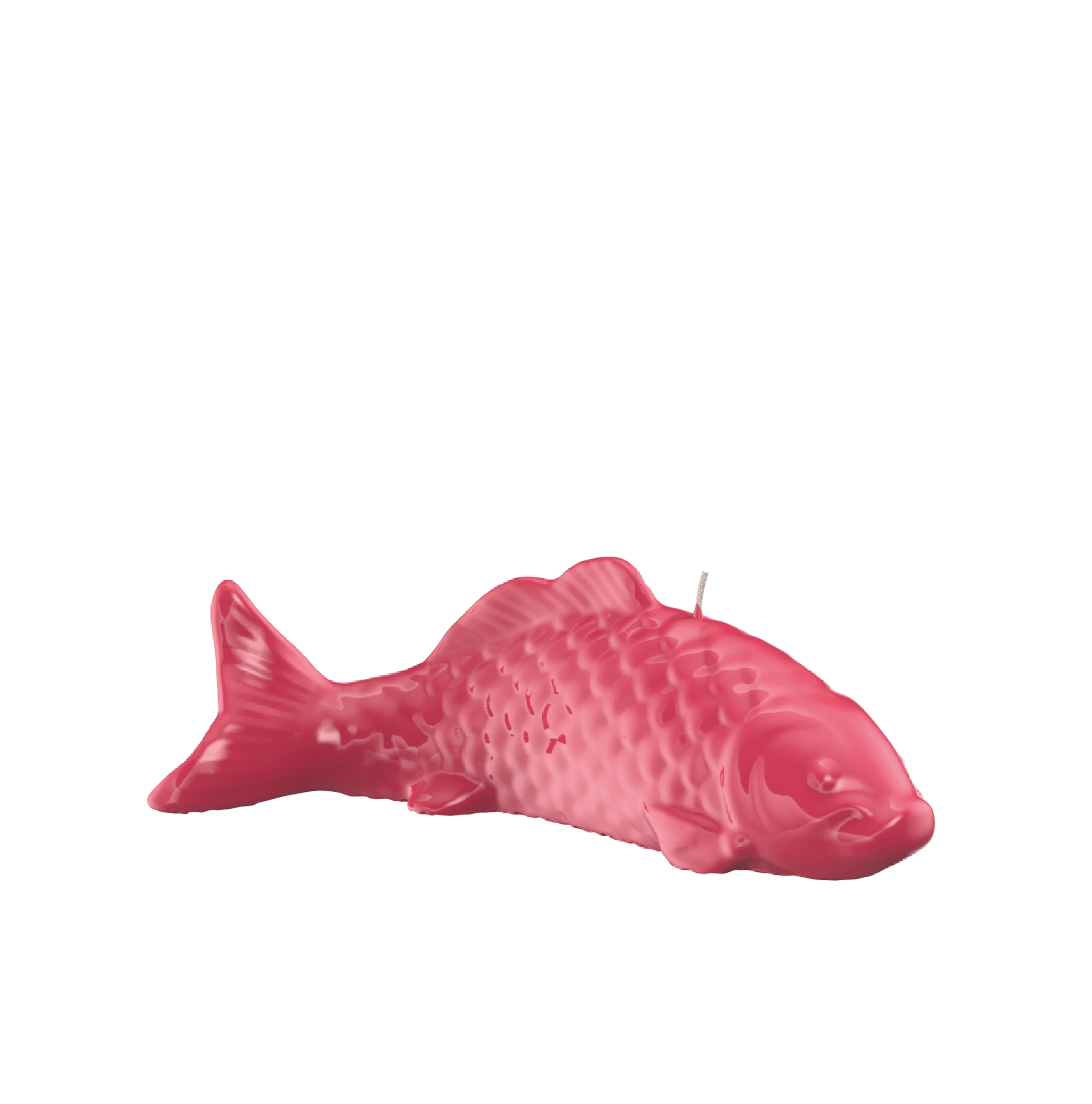 Objektkerze Fisch Glanz-Lack