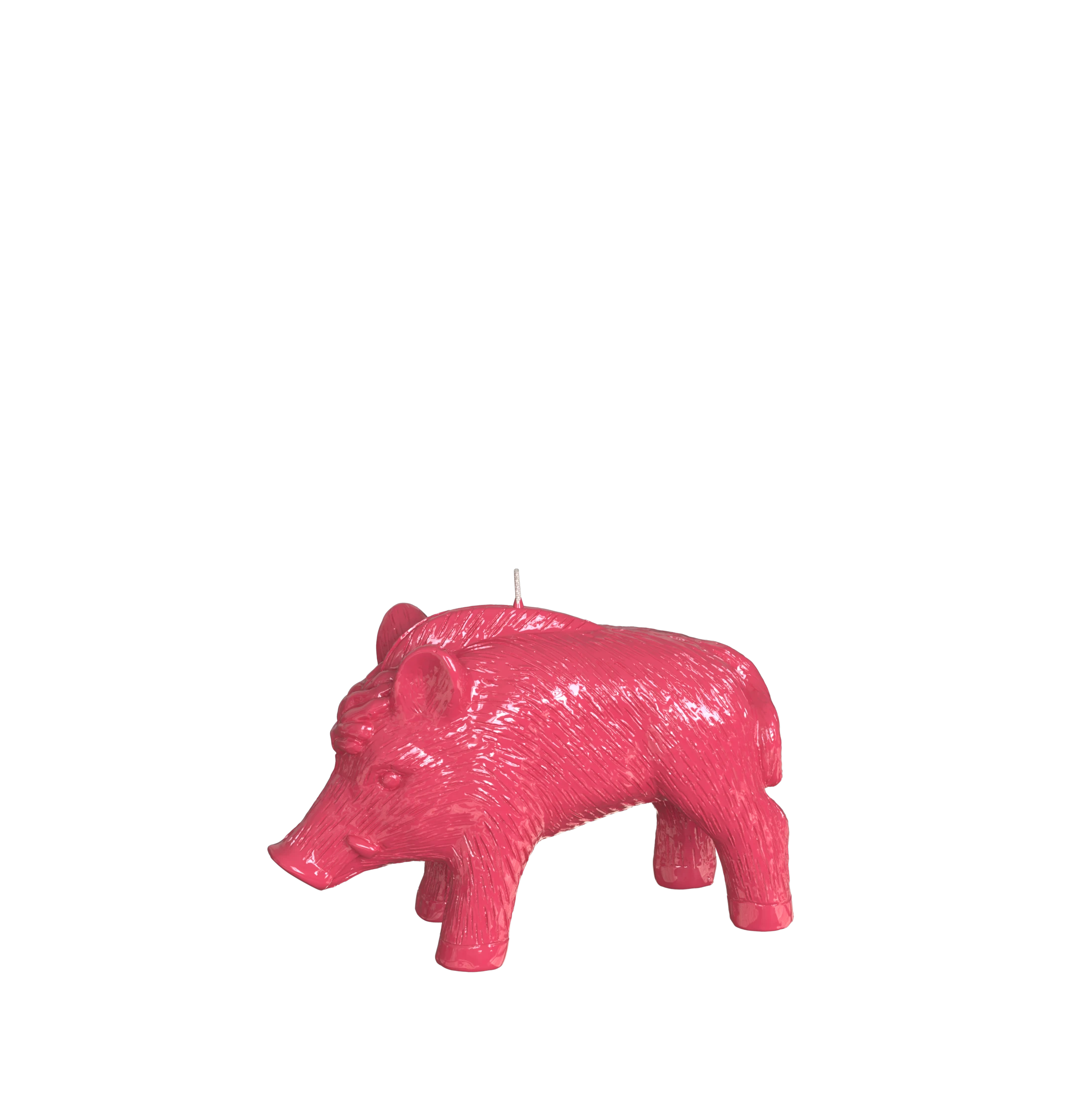 Objektkerze Wildschwein Glanz-Lack